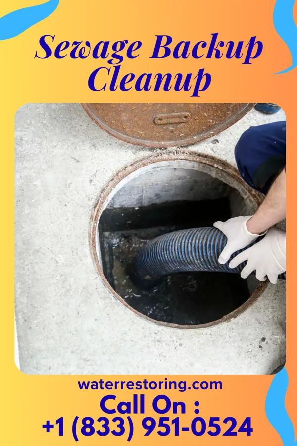 Sewage Backup Cleanup in St. Francis, AR